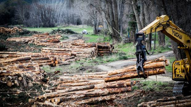 Mike's Minute: The madness of the carbon auction needs to end