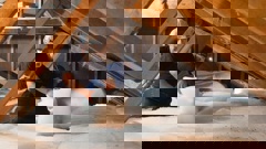 The Gammans' 1950s weatherboard home was cold and had heavy condensation on its windows. (Photo / File)