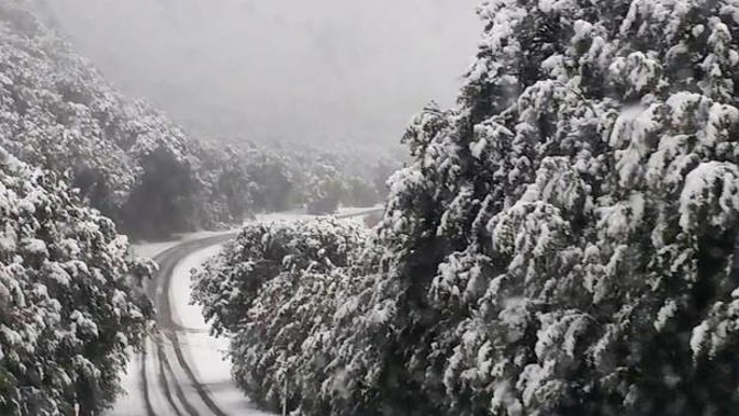 Saturday night's snowfall in Arthur's Pass in the Southern Alps of the South Island. (Photo / Paul Mateer)