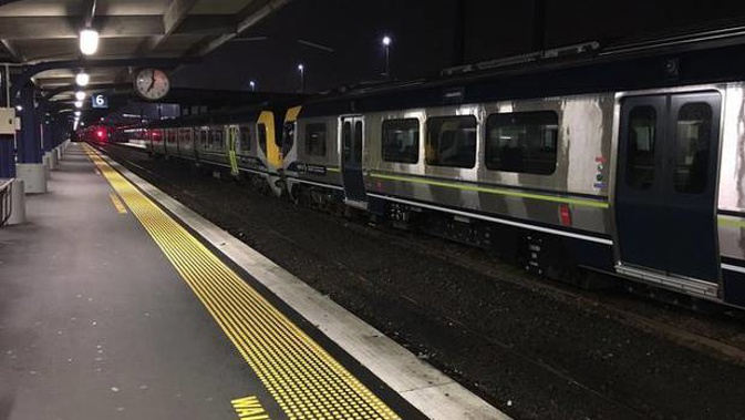 The train came to a halt after the conductor overheard the racial abuse. (Photo / RNZ, Michael Cropp)