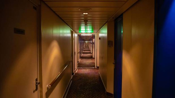 'A cruise ship is like a floating city of 10,000 people with no police'. 9Photo / 123RF)