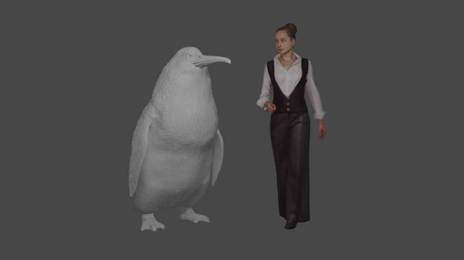 Crossvallia waiparensis was a monster penguin that lived between 66 and 56 million years ago. Image / Canterbury Museum