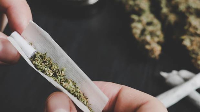 Support for the personal use cannabis referendum has plummeted, with just 39 per cent of responders to a new survey saying they will vote yes. Photo / File