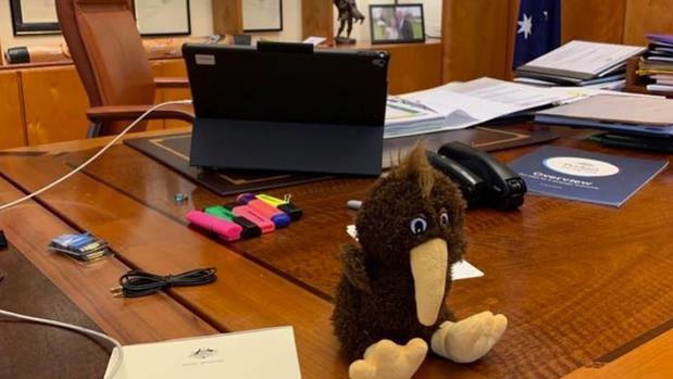 Australian Prime Minister Scott Morrison's fluffy new deskmate is a kiwi soft toy, courtesy of a bet made with Prime Minister Jacinda Ardern on who would win the Bledisloe Cup. (Photo / Instagram)