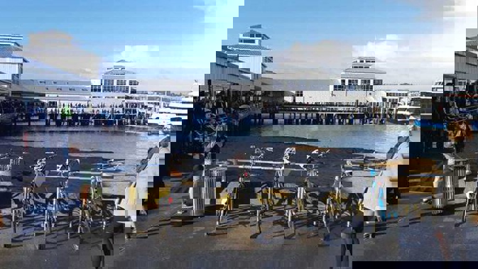 Hundreds of people queue at Devonport Ferry Terminal waiting on delayed Fullers vessels. Photo / Supplied