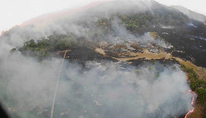 The states that have been most affected this year's fires are Mato Grosso, Para and Amazonas - all in the Amazon region - accounting for 41.7 per cent of all fires. (Photo / AP)