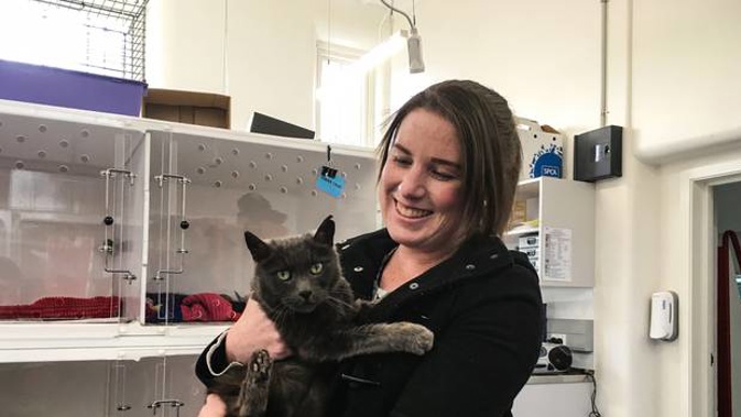 Garry the 13-year-old cat has been reunited with her owner, Lisa Pederson in Masterton, after being missing for 5 years. (Photo / SPCA)