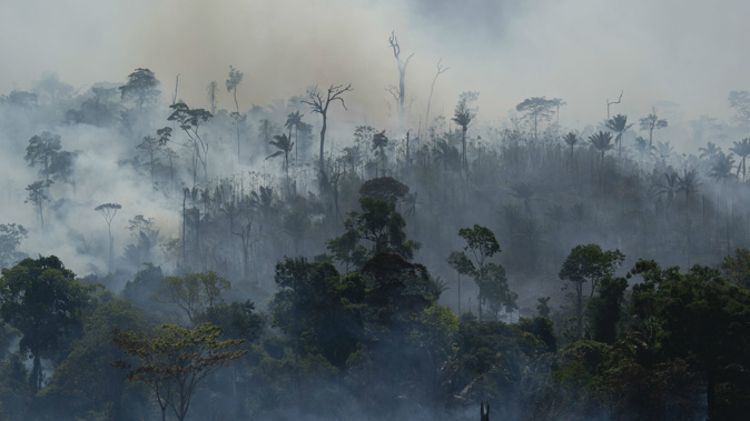 Smoke continues to hang over the fire-plagued forest. (Photo / AP)