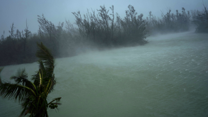 Strong winds from Hurricane Dorian blow the tops of trees and brush at a canal near the sea, located behind the brush at top, seen from the balcony of a hotel in Freeport, Grand Bahama. (Photo / AP)