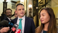 Greens co-leader Marama Davidson apologised on social media for the harm caused by the article. (Photo / Mark Mitchell)