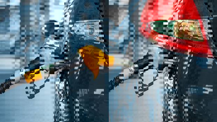 Photo / File