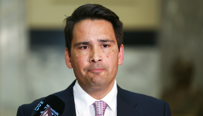 National Party leader Simon Bridges says despite dozens more countries joining, the Christchurch call is still "nebulous, feel-good stuff". Photo / Mark Mitchell