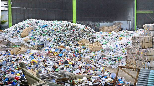 The scheme co-design process has been granted nearly $1 million to go ahead. Photo / File