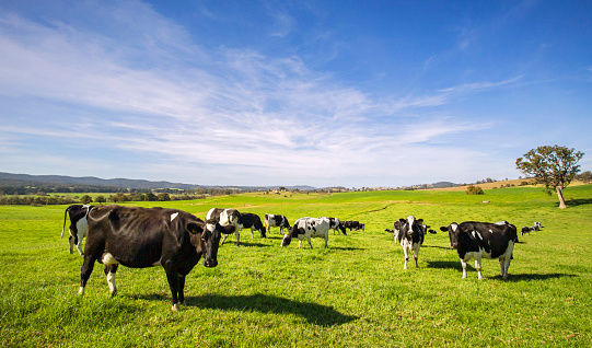 (Photo / Getty Images)