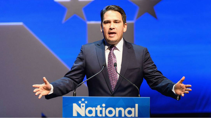 Bridges has been penalised but avoided the harsher punishments. (Photo / NZ Herald)