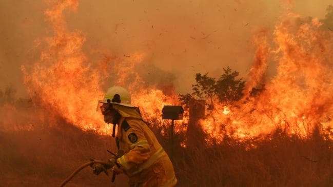 RFS firefighters battle a spot fire on November 13, 2019 in Hillville. Picture: Sam Mooy/Getty Images