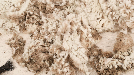 Utilising wool to make the world's best respiratory air filters
