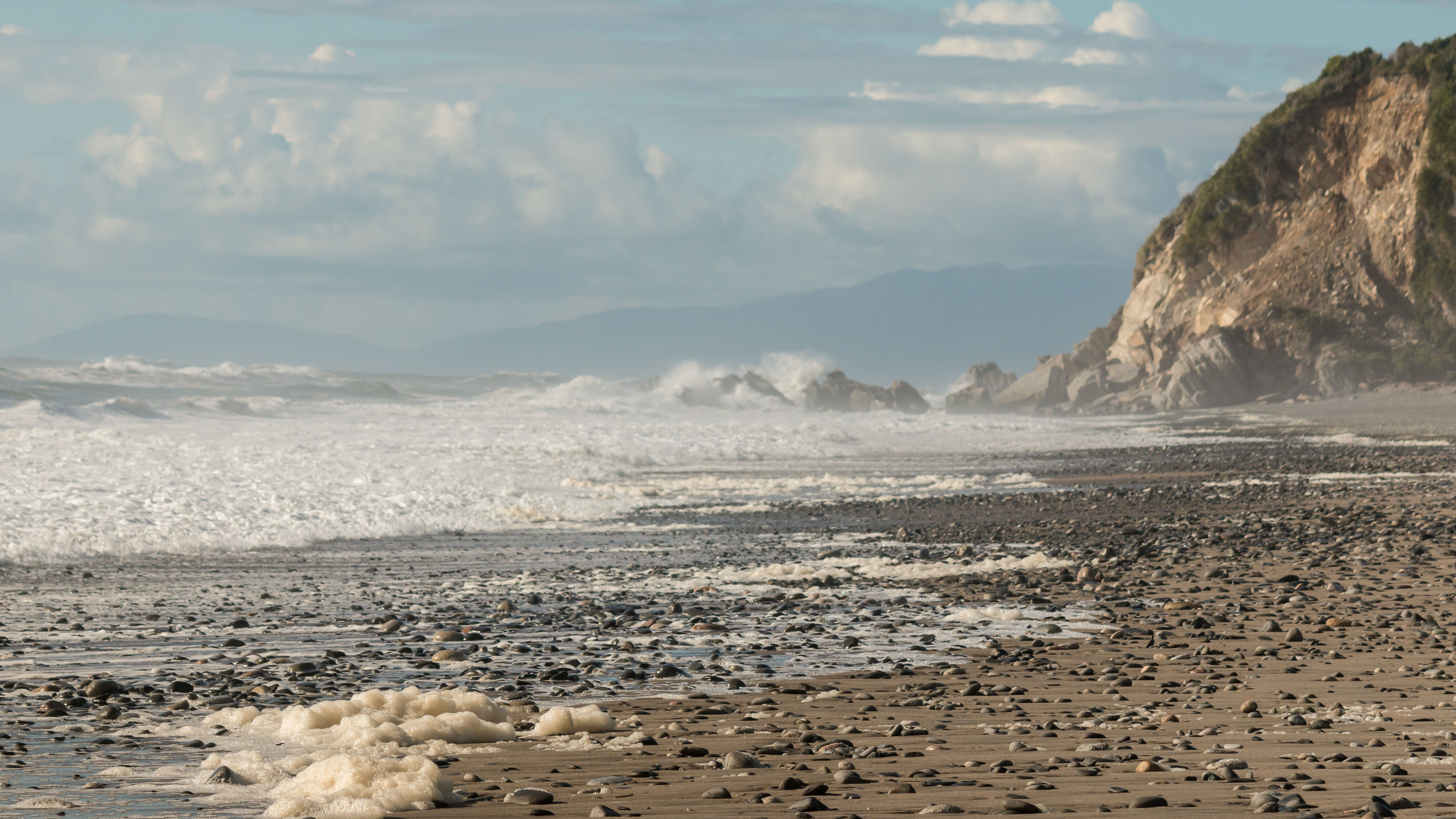 No 1080 in rats found dead on North Beach in Westport