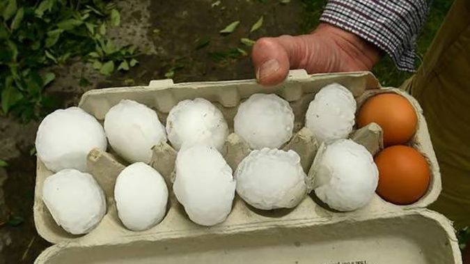 Image result for timaru hail christchurch