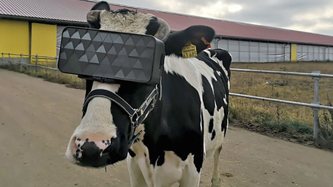 Yes, this image is very real. (Photo / Ministry of Agriculture and Food of the Moscow Region via CNN)
