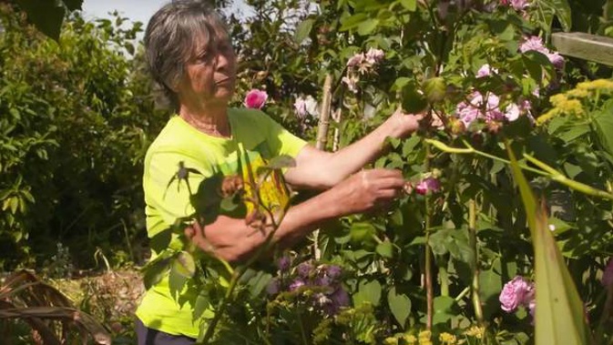 Dee Pigneguy tends to the berm. Photo / RNZ