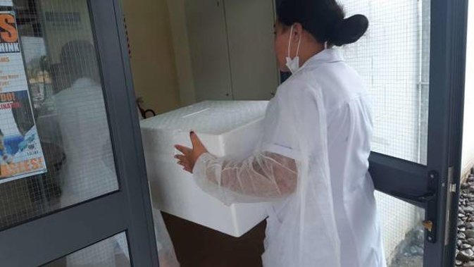 A live coldchain vaccine delivery of MMR in Samoa. (Photo / RNZ)