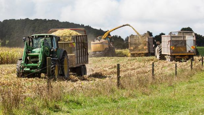 Another massive land deal was rejected due this week. (Photo / File)