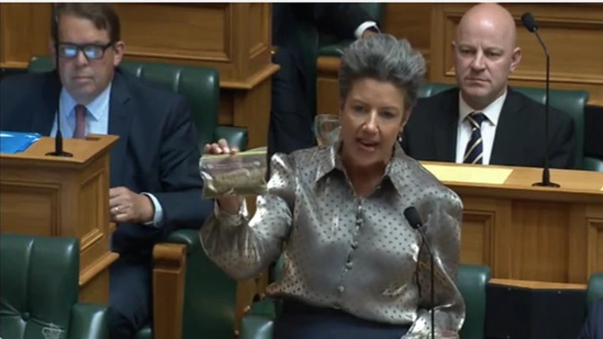 The baggie in question - National's deputy leader Paula Bennett holds up a bag of unknown green leaves in the House.