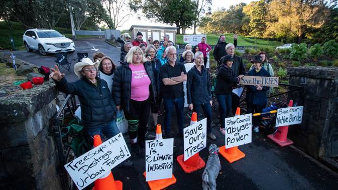 A protest against the removal of trees from Ōwairaka/Mt Albert has evolved to include debates around Māori concepts of mana whenua and pēpeha. Photo / File