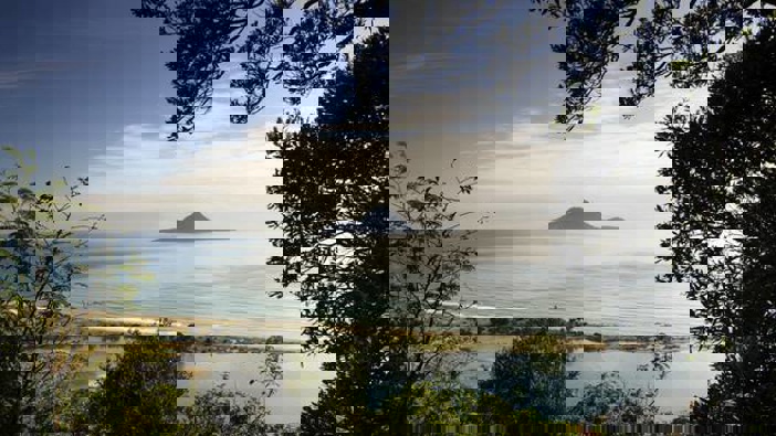 (Photo / Getty Images)