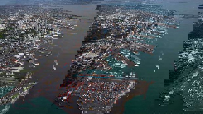 The Government has made an announcement on the future of the Auckland port. Photo / Michael Craig