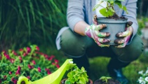Ruud Kleinpaste: Gardening tips for your summer break
