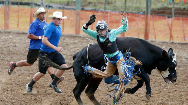 Direct Animal Action said protests had been held at the Warkworth Rodeo for the past four years. (Photo / File)