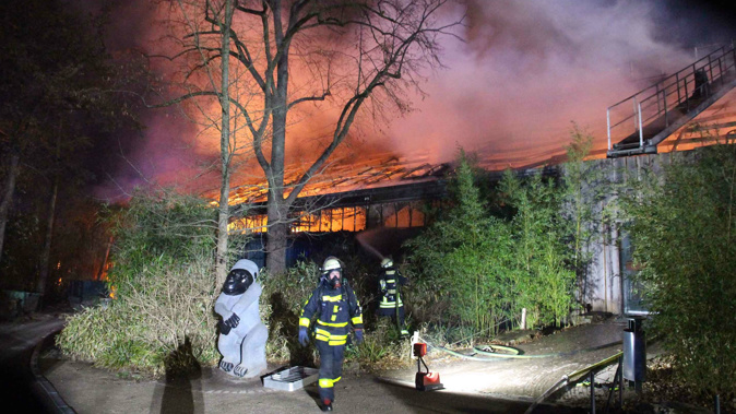 Firefighters stand in front of the burning monkey house at Krefeld Zoo. (Photo / AP)