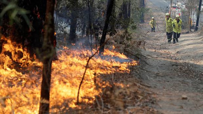 Firefighters drag a hose to battle a fire near Bendalong, NSW yesterday. In neighbouring state Victoria, conditions are expected to worsen today. Photo / AP