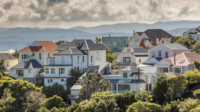 Mum and dad landlords own close to a third of houses in NZ and are frequently at the centre of political bartering. (Photo / Michael Craig)