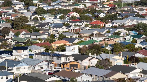 There are already reports of queues out the door and flats being rented in minutes in Wellington. Photo / Mark Mitchell.