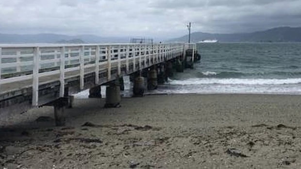 Valeliano Mita drowned at Seatoun Wharf while saving his son. Photo / Boris Jancic