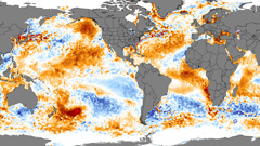It is similar to another 'blob' The red splotch in the bottom left of the image is a large area of ocean water at above-average water temperatures. (Image: University of Maine)