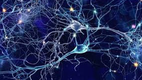 Steve Cullen: Brain wave technology introduced to identify criminals