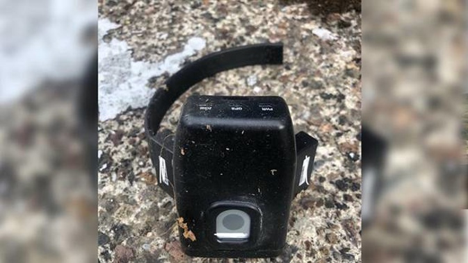 An Auckland criminal chose the wrong house to cut his home detention bracelet off in front of. Photo / Kim Choe / Twitter