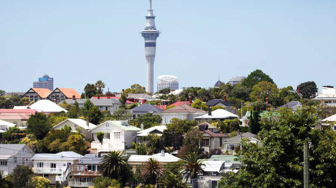 (Photo / NZ Herald)