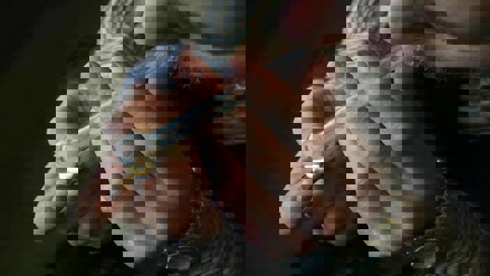 (Photo \ Getty Images)