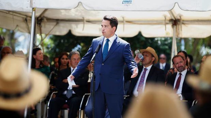 National Party Leader Simon Bridges at Waitangi. Photo / Michael Cunningham