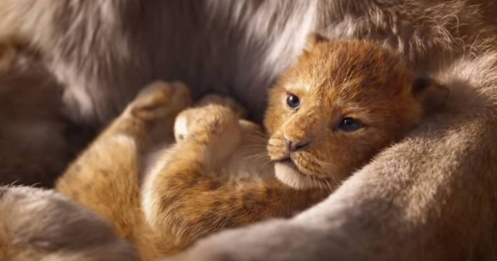 The movie was not screened with Disney's permission. (Photo / NZ Herald)