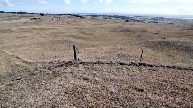 Grass is turning brown in large swathes of land across Northland as the prolonged dry weather goes from bad to worse. Photo/John Stone
