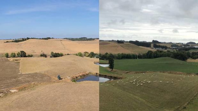 A photo taken in Feilding shows the same plot of land four weeks apart and the stark contrast after a month of no rain. Photo / Facebook