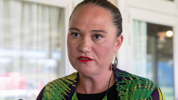 Social Development Minister Carmel Sepuloni. (Photo / Mark Mitchell)