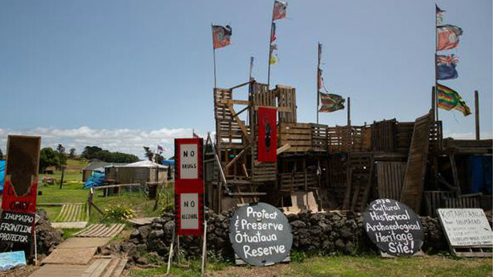 The disputed land at Ihumatao. Photo / Sylvie Whinray