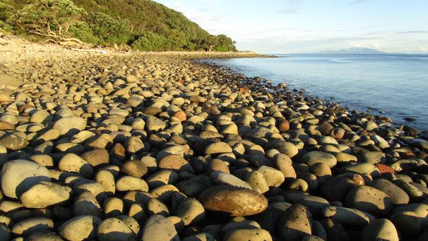 Photo / Cliff Taylor